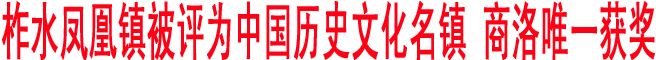 柞水鳳凰鎮(zhèn)被評(píng)為中國(guó)歷史文化名鎮(zhèn) 商洛唯一獲獎(jiǎng)