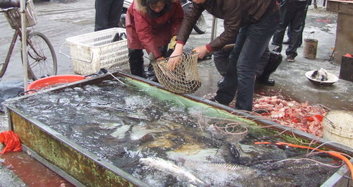 新春年貨“肉蛋禽”引領市場行情