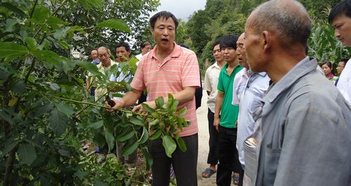 商洛人大常委會真心實意為群眾辦實事