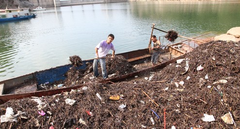 商洛二龍山水庫管理處為凈化保護水源