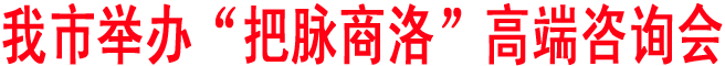 商洛舉辦“把脈商洛”高端咨詢會
