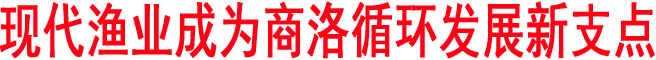 現(xiàn)代漁業(yè)成為商洛循環(huán)發(fā)展新支點(diǎn)