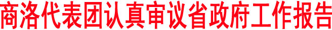 商洛代表團認真審議省政府工作報告和計劃、財政報告