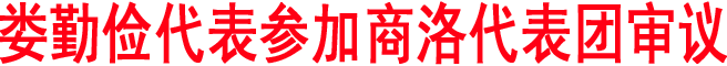 婁勤儉代表參加商洛代表團審議
