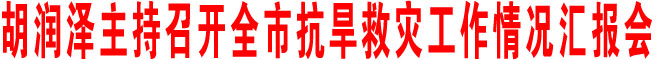 胡潤澤主持召開全市抗旱救災(zāi)工作情況匯報會