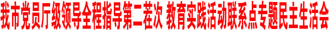 商洛市黨員廳級領導全程指導第二茬次 教育實踐活動聯系點專題民主生活會