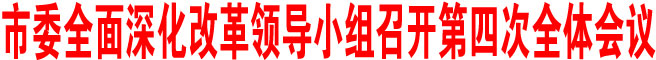 商洛市委全面深化改革領(lǐng)導(dǎo)小組召開第四次全體會議
