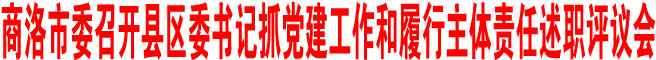 商洛市委召開縣區(qū)委書記抓黨建工作和履行主體責(zé)任述職評議會