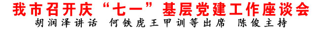 商洛市召開慶“七一”基層黨建工作座談會
