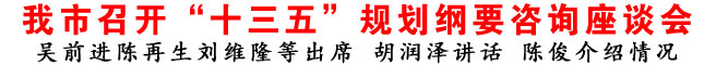 商洛市召開“十三五”規(guī)劃綱要咨詢座談會