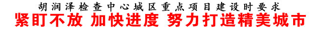 緊盯不放 加快進(jìn)度 努力打造精美城市