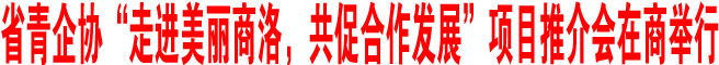 省青企協“走進美麗商洛，共促合作發展”項目推介會在商舉行