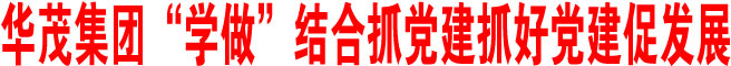 華茂集團“學(xué)做”結(jié)合抓黨建抓好黨建促發(fā)展