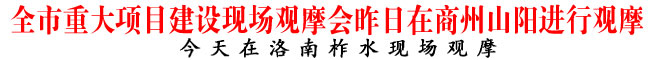 全市重大項目建設現場觀摩會昨日在商州山陽進行觀摩
