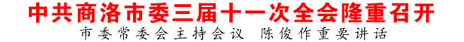 中共商洛市委三屆十一次全會隆重召開