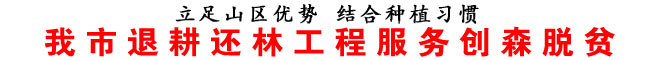 我市退耕還林工程服務創森脫貧