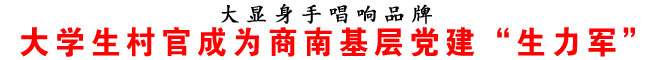 大學生村官成為商南基層黨建“生力軍”