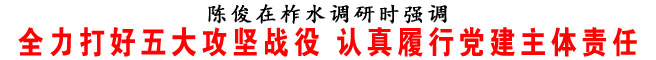 全力打好五大攻堅戰役 認真履行黨建主體責任