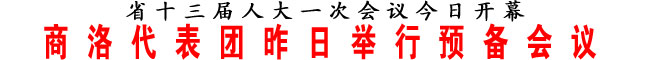 商洛代表團(tuán)昨日舉行預(yù)備會議