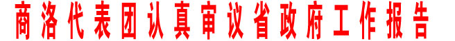 商洛代表團(tuán)認(rèn)真審議省政府工作報告