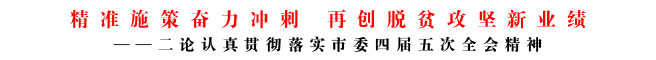 精準施策奮力沖刺 再創脫貧攻堅新業績