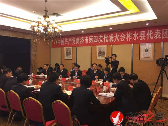 柞水代表團(tuán).jpg