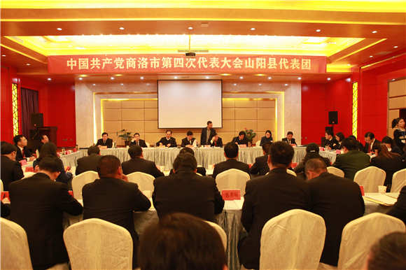 發揮黨的領導核心作用 奮力實現追趕超越