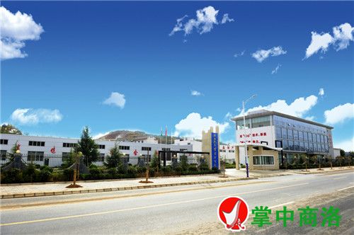 農業(yè)龍頭企業(yè)——陜西天玉公司