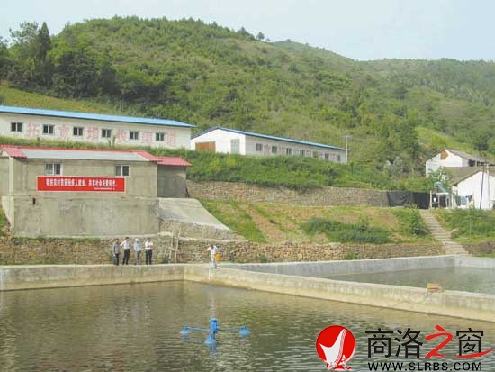 樊傳滿的綠色循環產業園