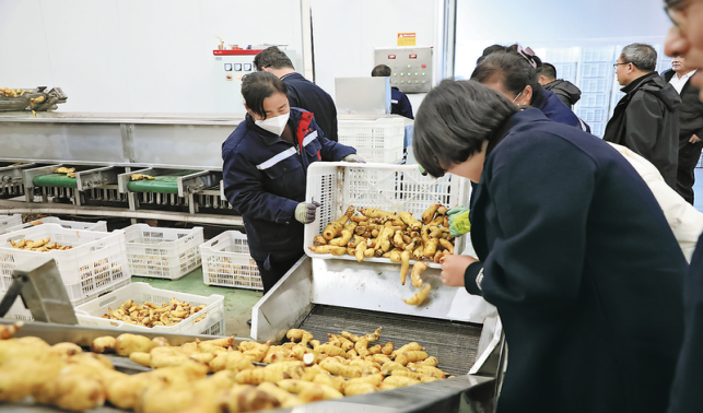 打造經(jīng)濟(jì)發(fā)展強引擎