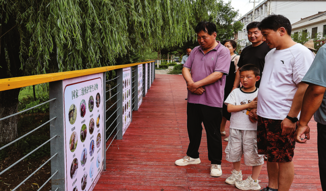 保護(hù)野生動(dòng)物 共建和諧家園