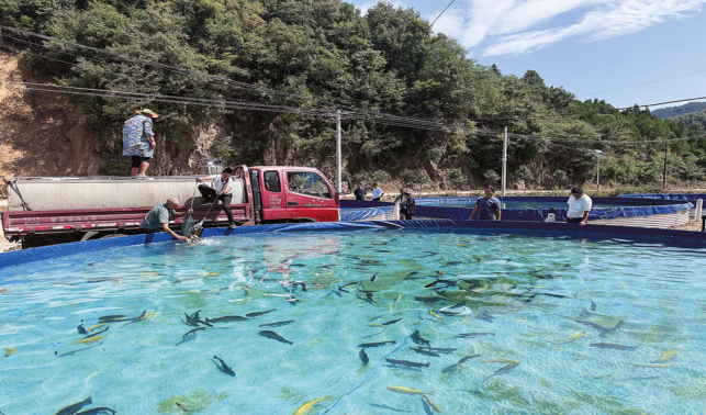 冷水魚養殖，荒草灘變身“聚寶盆”