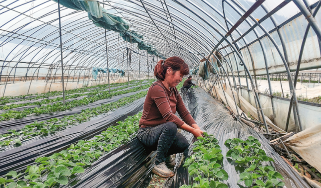 下灣村 生態美托起百姓富