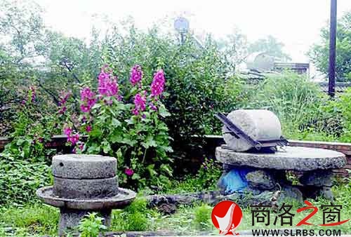 散落于鄉(xiāng)間的廢棄石磨成為那個時代的永恒記憶